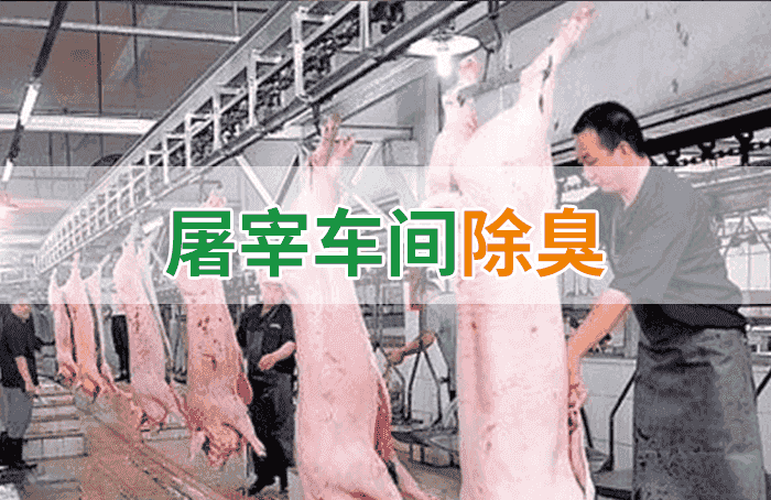 潔匠凈化·的凈工業(yè)除臭劑_屠宰場(chǎng)臭氣影響周邊環(huán)境？解決辦法在這里-1